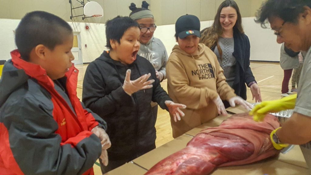 Jenn and her students learn how to cut moose meat with Elders